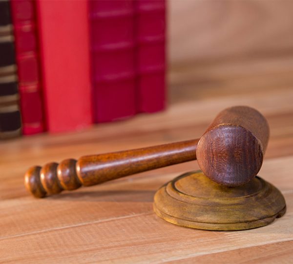 Legislation Day 2025 – What was Published?